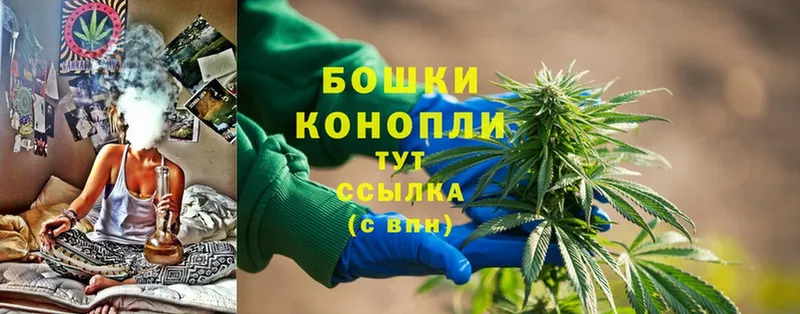 MEGA зеркало  Калач  Шишки марихуана THC 21%  наркота 